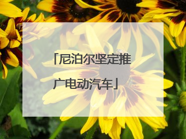 尼泊尔坚定推广电动汽车