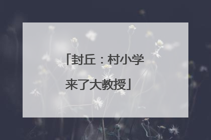 封丘：村小学来了大教授