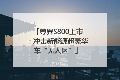 尊界S800上市：冲击新能源超豪华车“无人区”