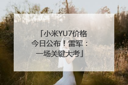 小米YU7价格今日公布！雷军：一场关键大考