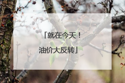 就在今天！油价大反转