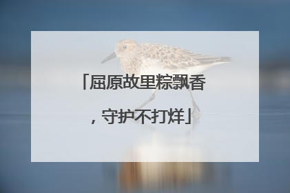 屈原故里粽飘香，守护不打烊