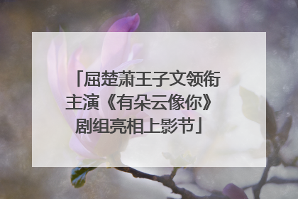 屈楚萧王子文领衔主演《有朵云像你》剧组亮相上影节