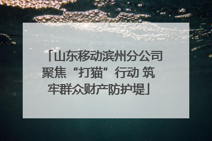山东移动滨州分公司聚焦“打猫”行动 筑牢群众财产防护堤