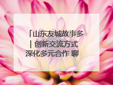山东友城故事多｜创新交流方式 深化多元合作 聊城加速构建全球友城新格局