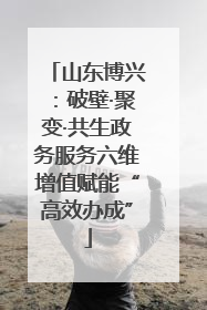 山东博兴：破壁·聚变·共生政务服务六维增值赋能“高效办成”
