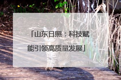 山东日照：科技赋能引领高质量发展