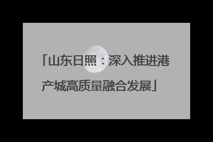 山东日照：深入推进港产城高质量融合发展