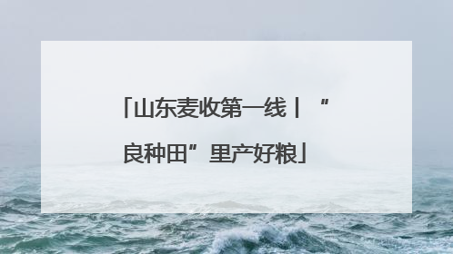 山东麦收第一线丨“良种田”里产好粮