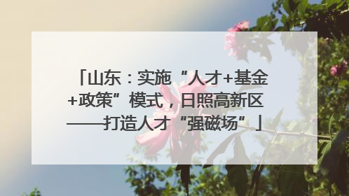 山东：实施“人才+基金+政策”模式，日照高新区——打造人才“强磁场”
