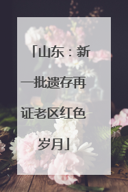 山东：新一批遗存再证老区红色岁月