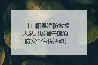 山阳县消防救援大队开展端午前消防安全宣传活动
