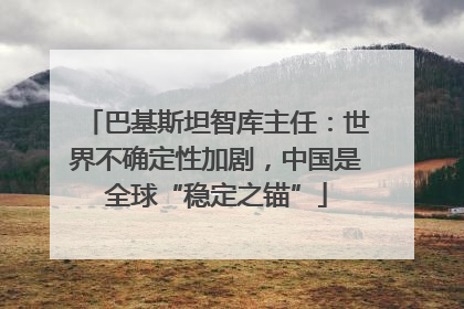巴基斯坦智库主任：世界不确定性加剧，中国是全球“稳定之锚”