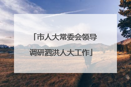 市人大常委会领导调研泗洪人大工作