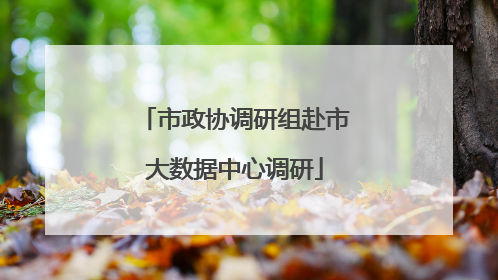 市政协调研组赴市大数据中心调研