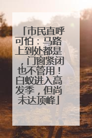 市民直呼可怕：马路上到处都是，门窗紧闭也不管用！白蚁进入高发季，但尚未达顶峰