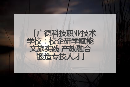 广德科技职业技术学校：校企研学赋能文旅实践 产教融合锻造专技人才
