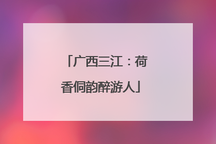 广西三江：荷香侗韵醉游人