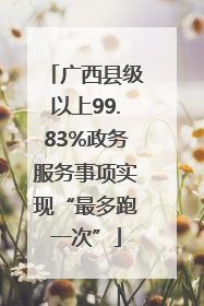 广西县级以上99.83%政务服务事项实现“最多跑一次”