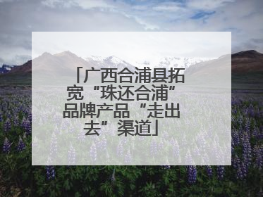 广西合浦县拓宽“珠还合浦”品牌产品“走出去”渠道