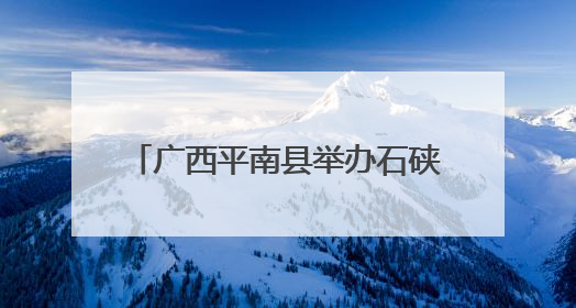 广西平南县举办石硖龙眼产销对接活动 签约逾3000万元