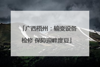 广西梧州：输变设备检修 保障迎峰度夏