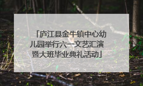 庐江县金牛镇中心幼儿园举行六一文艺汇演暨大班毕业典礼活动