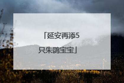 延安再添5只朱鹮宝宝