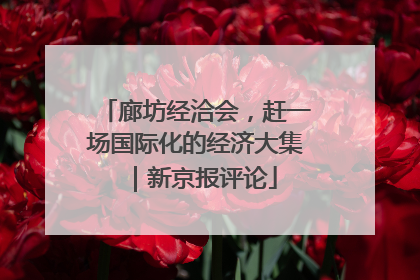 廊坊经洽会，赶一场国际化的经济大集｜新京报评论