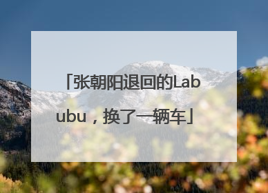 张朝阳退回的Labubu，换了一辆车