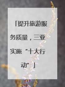 提升旅游服务质量，三亚实施“十大行动”