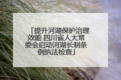 提升河湖保护治理效能 四川省人大常委会启动河湖长制条例执法检查