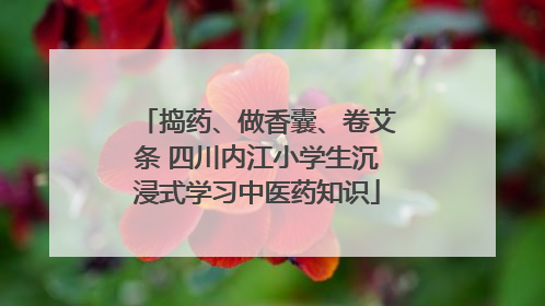 捣药、做香囊、卷艾条 四川内江小学生沉浸式学习中医药知识