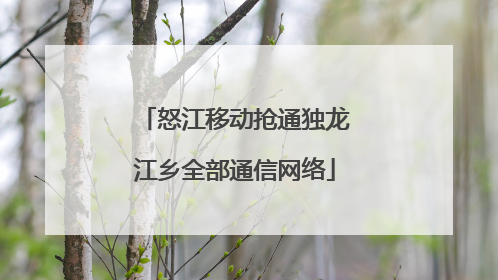 怒江移动抢通独龙江乡全部通信网络