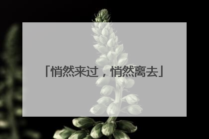 悄然来过，悄然离去