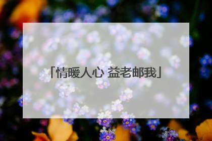 情暖人心 益老邮我