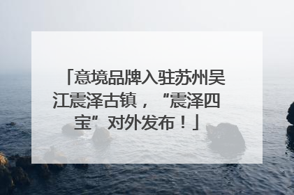 意境品牌入驻苏州吴江震泽古镇，“震泽四宝”对外发布！