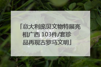 意大利庞贝文物特展亮相广西 103件/套珍品再现古罗马文明