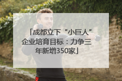 成都立下“小巨人”企业培育目标：力争三年新增350家