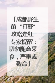 成都野生菌“打野”攻略走红 专家提醒：切勿随意采食，严重或致命