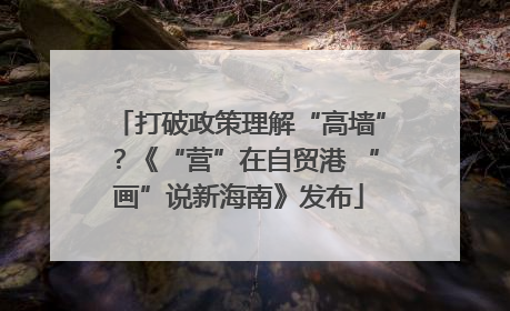 打破政策理解“高墙”？《“营”在自贸港 “画”说新海南》发布