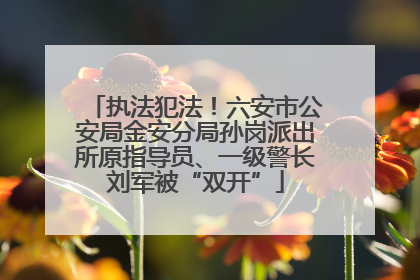 执法犯法！六安市公安局金安分局孙岗派出所原指导员、一级警长刘军被“双开”