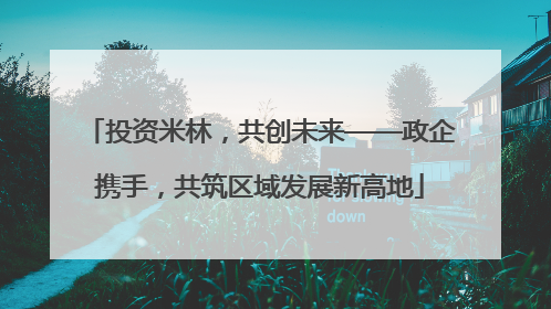 投资米林，共创未来——政企携手，共筑区域发展新高地