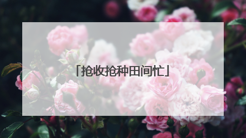 抢收抢种田间忙