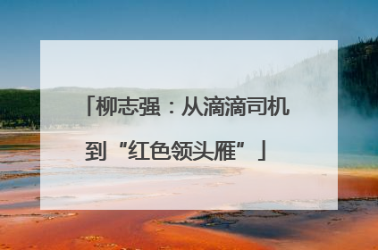 柳志强：从滴滴司机到“红色领头雁”
