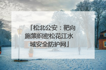 松北公安：靶向施策织密松花江水域安全防护网