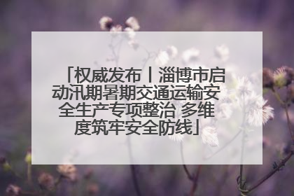 权威发布丨淄博市启动汛期暑期交通运输安全生产专项整治 多维度筑牢安全防线