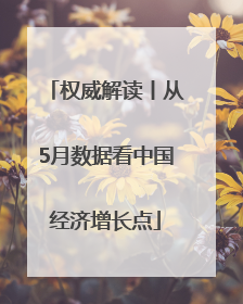 权威解读丨从5月数据看中国经济增长点