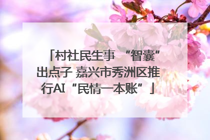 村社民生事 “智囊”出点子 嘉兴市秀洲区推行AI“民情一本账”