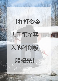 杠杆资金大手笔净买入的科创板股曝光